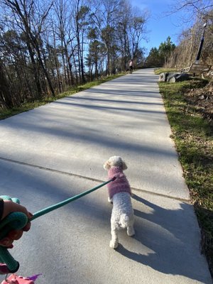 Johnson Rd NW by null