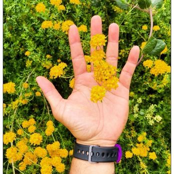 Mystic Canyon Hiking Trail - It's a wild thang! #restbreak - Hiking Near Me - Glendora, California Mystic Canyon Hiking Trail - It's a wild thang! #restbreak - Hiking Near Me - Glendora, California