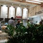Photo of Terra Kitchen