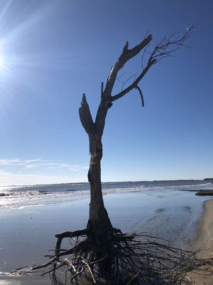 Folly Beach County Park by null