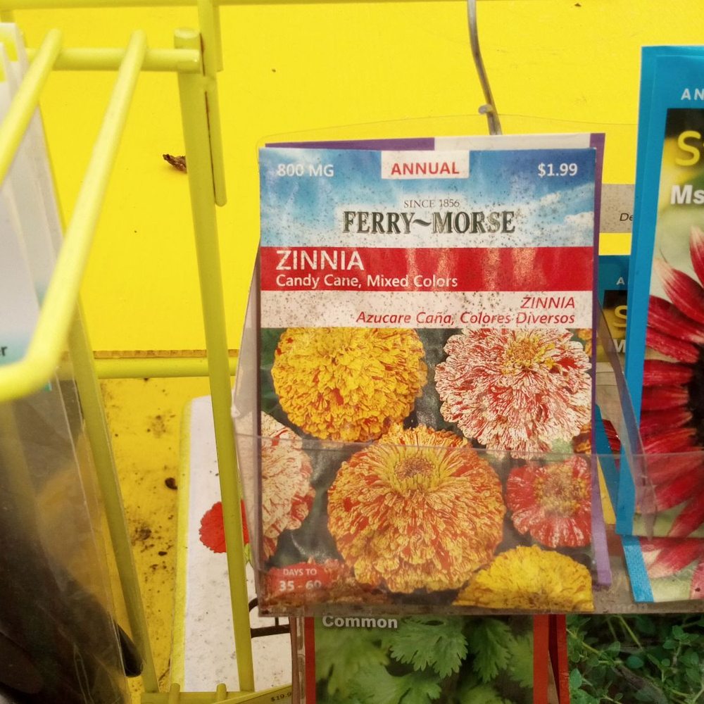 Visible mold on seed pack. Seeds are near plants. I've seen the seed display dripping wet, told management, they leave seeds out.