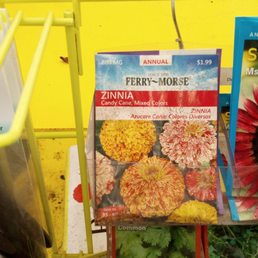 Visible mold on seed pack. Seeds are near plants. I've seen the seed display dripping wet, told management, they leave seeds out. Visible mold on seed pack. Seeds are near plants. I've seen the seed display dripping wet, told management, they leave seeds out.