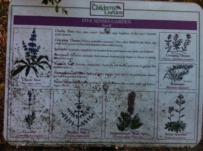 The Children's Garden at Linky Stone Park Image