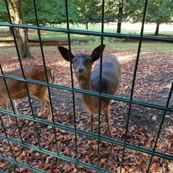 Nordpark - Wuppertal