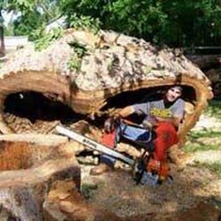Triple DDD Tree Service