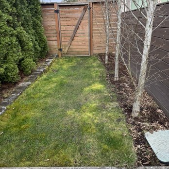 Hn Landscaping - Before cleaning up - Landscaping Near Me - Tukwila, Washington Hn Landscaping - Before cleaning up - Landscaping Near Me - Tukwila, Washington