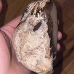 Purple Tornado rocks & antiques - Petrified wood