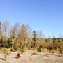 Photo of Clear Creek Park