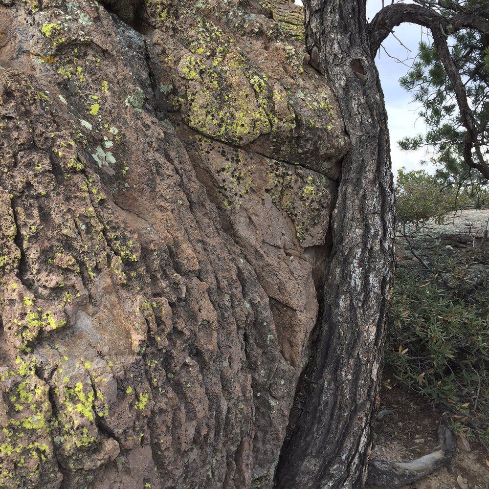 Chiricahua National Monument - I'm going to cling on tight. - Hiking Near Me - Willcox, Arizona Chiricahua National Monument - I'm going to cling on tight. - Hiking Near Me - Willcox, Arizona