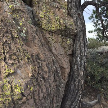 Chiricahua National Monument - I'm going to cling on tight. - Hiking Near Me - Willcox, Arizona Chiricahua National Monument - I'm going to cling on tight. - Hiking Near Me - Willcox, Arizona