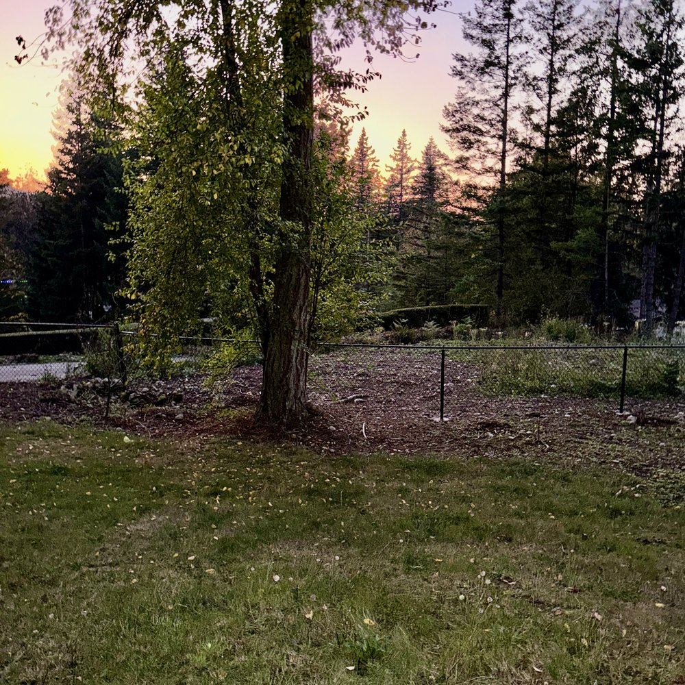Interactive Gates & Security - After: Was the chicken wire fence, now chain link - Fences & Gates Near Me - Bellevue, Washington