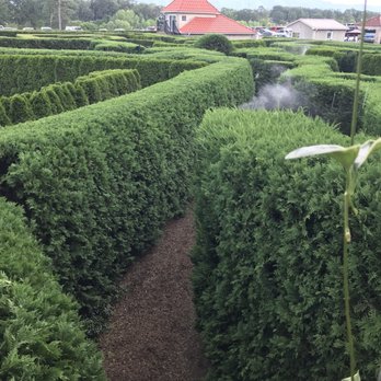 Garden Maze - Center of maze overview - Local Flavor Near Me - Luray, Virginia
