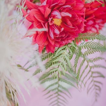 Hollyflora - Florists Near Me - Los Angeles, California Hollyflora - Florists Near Me - Los Angeles, California