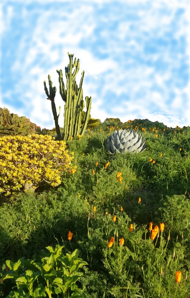 Living Symmetry Counseling - grief counselor in Oakland, CA