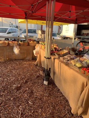 West Ashley Farmers Market by null