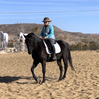 Yucca Valley Equestrian Center - Cindy training with Max - Yucca Valley, California Yucca Valley Equestrian Center - Cindy training with Max - Yucca Valley, California