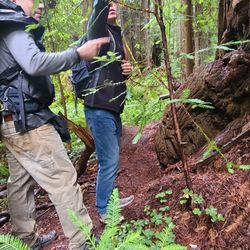 Redwood Adventures - Deon showing us some foliage