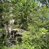 Lee G. Simmons Conservation Park & Wildlife Safari gift card