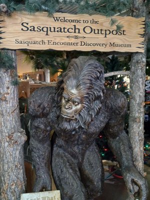 Sasquatch Outpost by null