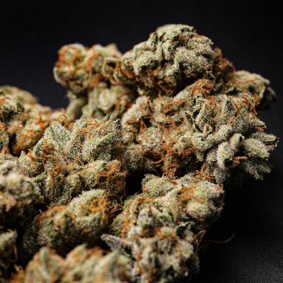 Jardín Premium Cannabis Dispensary by null