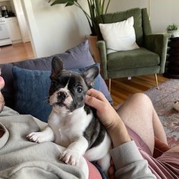 The day I brought douglass home! The day I brought douglass home!