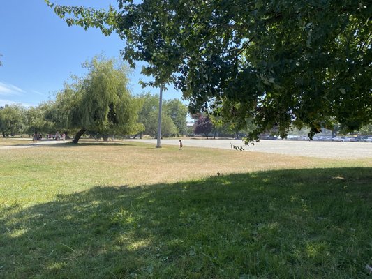 John Hendry Park (Trout Lake Park) by null