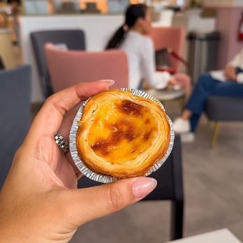 Tous Les Jours - Pastel de nata - Coffee & Tea Near Me - Wesley Chapel, Florida Tous Les Jours - Pastel de nata - Coffee & Tea Near Me - Wesley Chapel, Florida