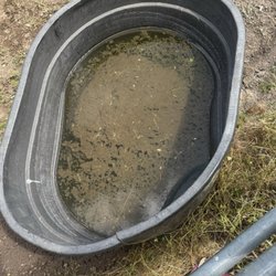Lake Oswego Hunt Riding Academy - A horse was in this pasture with their trough looking like this