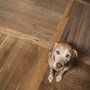 Photo of Total Floors and More