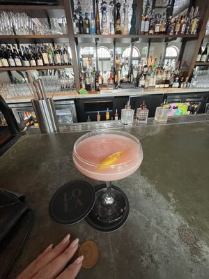 LoLa 41 Palm Beach by null