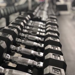 Living Fit Club - Free weights
