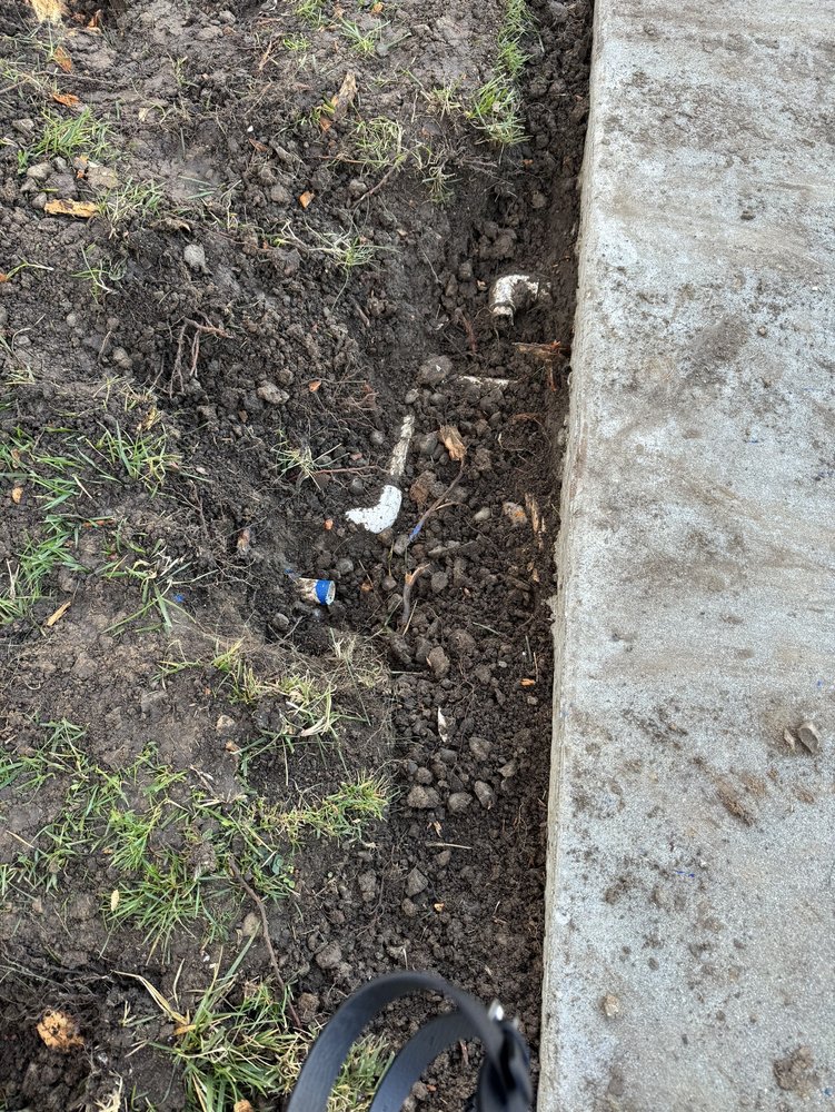 Fallen Leaf Tree Management - tree service in Sacramento, CA