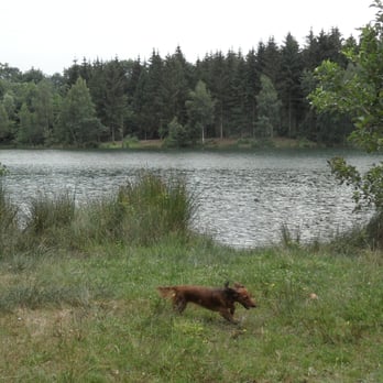 Bruchsee - Lakes Near Me - Duingen, NI