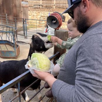 Tilden Regional Park Little Farm - My babies feeding the friendly goats - Parks Near Me - Berkeley, California Tilden Regional Park Little Farm - My babies feeding the friendly goats - Parks Near Me - Berkeley, California