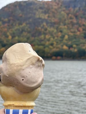 Moo Moo's Creamery - The World’s Best Ice Cream Shop by null