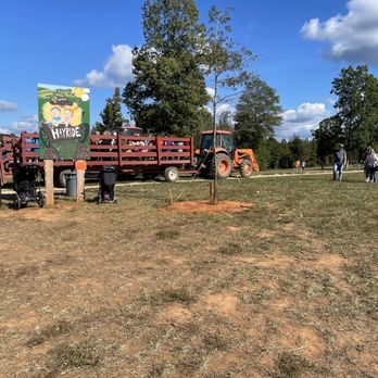 Hall Family Farm - Tractor Ride - Pumpkin Patches Near Me - Lancaster, South Carolina