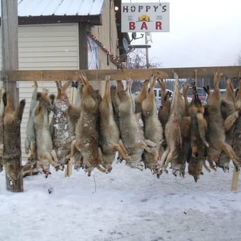 Hoppy's Bar - Critters - Dive Bars Near Me - Kenton, Michigan