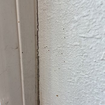 Motel 6 - Meridian - The dark dots are bed bug droppings showing prior infestation. They can be cleaned but Motel 6 wouldn't know it. - Hotels Near Me - Meridian, Idaho Motel 6 - Meridian - The dark dots are bed bug droppings showing prior infestation. They can be cleaned but Motel 6 wouldn't know it. - Hotels Near Me - Meridian, Idaho