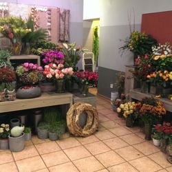 Blumen Grenz