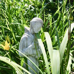 Our Lady of Malibu Catholic Church - Our Lady of Malibu - Garden