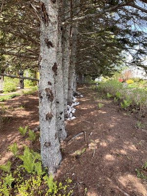 The Bottle Houses and Gardens by null