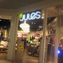 Photo of Jules