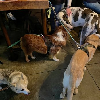 Piñon Bottle - One of the most dog friendly places in Reno! - Beer Bar Near Me - Reno, Nevada Piñon Bottle - One of the most dog friendly places in Reno! - Beer Bar Near Me - Reno, Nevada