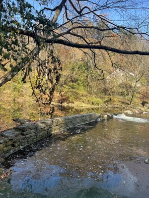 Wissahickon Valley Park by null
