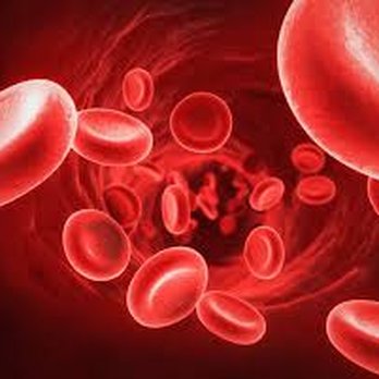 Whitney's Vitamin & Herb Shoppe - Blood Analysis - Vitamins & Supplements Near Me - Redding, California Whitney's Vitamin & Herb Shoppe - Blood Analysis - Vitamins & Supplements Near Me - Redding, California