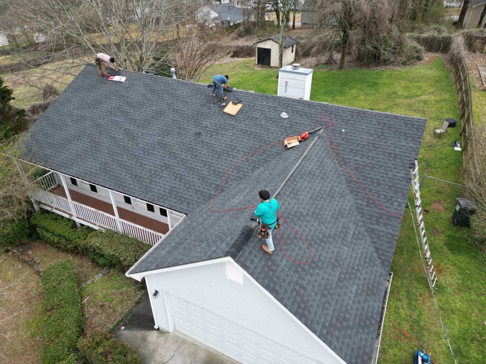 Slide of Apex Restorations