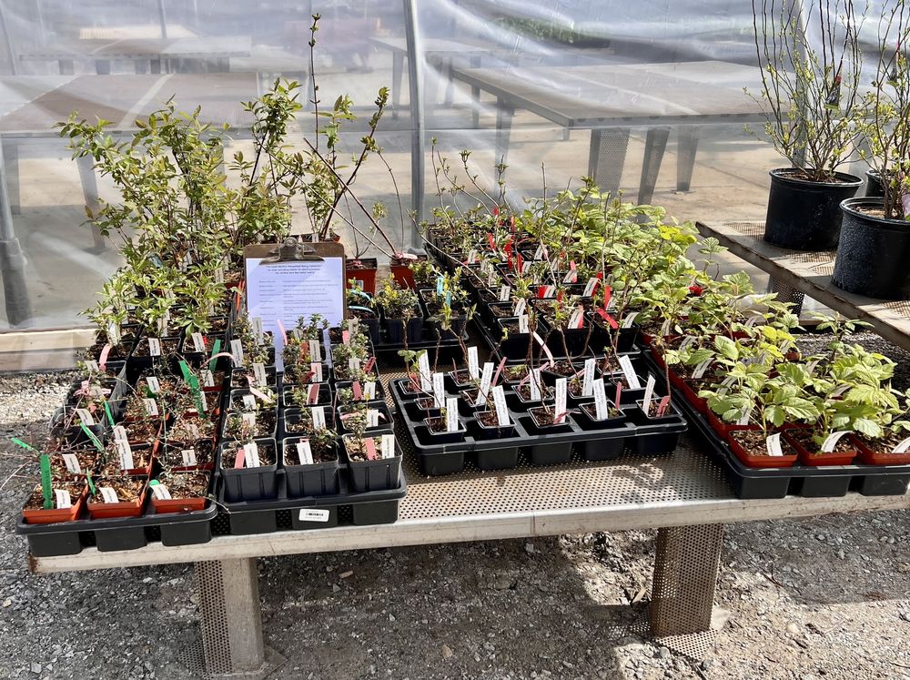 The Good Earth Farm and Garden Center - beekeeping in Gardner, MA