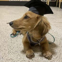 Bubba graduates!