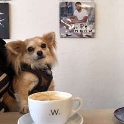 white label coffee