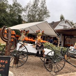 Greenspot Farm